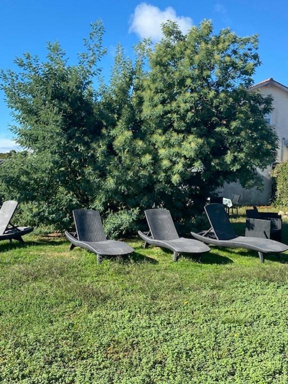 Comme Une Evidence Gite Et Chambres D'Hotes Saint-Vincent-sur-Jard Luaran gambar
